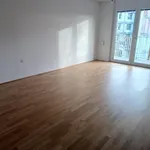 Rent 2 bedroom apartment of 49 m² in Graz