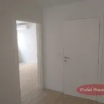 Rent 1 bedroom apartment in Braga