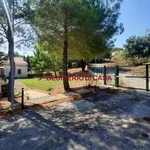 Rent 3 bedroom house of 67 m² in Pollina