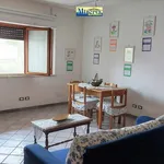 Rent 1 bedroom apartment of 3 m² in Nettuno