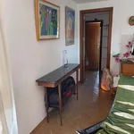 Rent 3 bedroom apartment in Madrid