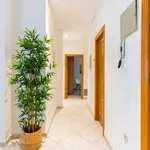 Alquilo 2 dormitorio apartamento de 80 m² en valencia