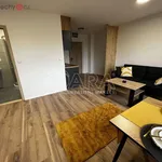 Pronajměte si 1 ložnic/e byt o rozloze 31 m² v Louny