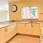 Rent 1 bedroom house in Colchester