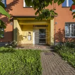 Rent 1 bedroom apartment of 29 m² in Ústí nad Labem