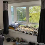 Rent 1 bedroom apartment in East Of England