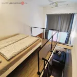 Rent 1 bedroom apartment in Trhový Štěpánov