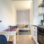 Rent 1 bedroom apartment of 40 m² in Novara