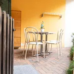 Rent 4 bedroom apartment of 65 m² in Borgomanero