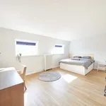 Kamer van 19 m² in brussels