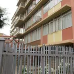 Rent 1 bedroom apartment in Pretoria