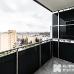 Rent 1 bedroom apartment of 30 m² in Rzeszów