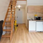 Rent 1 bedroom apartment in Brno