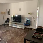 Rent 1 bedroom apartment of 100 m² in Malaga