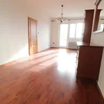 Rent 3 bedroom apartment in Hradec Králové