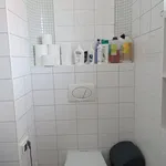 Rent 5 bedroom apartment in Mikulov