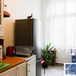 Rent 4 bedroom apartment in Szczecin