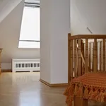 Rent 6 bedroom apartment of 85 m² in Berlin