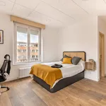 Alquilo 4 dormitorio apartamento de 20 m² en Madrid