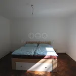 Rent 1 bedroom house of 73 m² in Žarošice