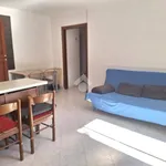 Rent 3 bedroom house of 60 m² in Paliano