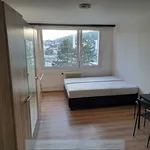 Rent 1 bedroom house in Prague