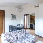 Rent 2 bedroom apartment of 75 m² in rome