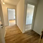 Rent 2 bedroom apartment in Peer