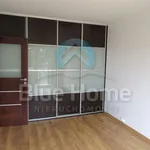 Rent 3 bedroom apartment of 53 m² in Leszno