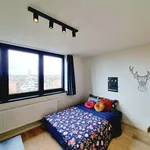 Rent 1 bedroom apartment in Leuven