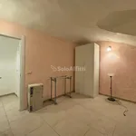 Rent 3 bedroom apartment of 80 m² in Torino