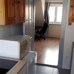 Rent 1 bedroom apartment of 20 m² in Strasbourg