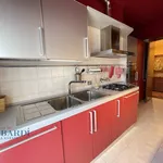 Rent 3 bedroom apartment of 100 m² in Milano