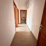 Rent 4 bedroom apartment of 130 m² in San Nicola la Strada