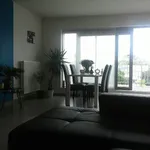 Rent 1 bedroom apartment in Geel