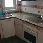 Rent 6 bedroom apartment in León