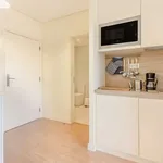 Rent 1 bedroom apartment of 55 m² in Porto