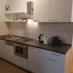 Rent 1 bedroom apartment of 35 m² in Heilbronn