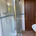 3-room flat via Mozza di Barga 9, Centro, Barga