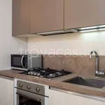 Rent 1 bedroom apartment of 35 m² in Milano