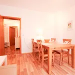 Rent 2 bedroom apartment of 54 m² in Essen