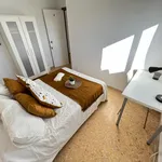 Rent 5 bedroom apartment in Valencia