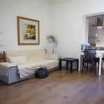 Rent 3 bedroom apartment in Firenze