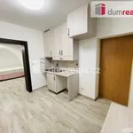 Rent 1 bedroom apartment of 30 m² in Mikulov