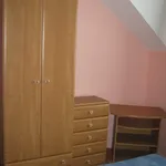 Rent 1 bedroom apartment in Postřelmov