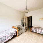 Rent 3 bedroom apartment of 65 m² in Torino