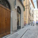 Rent 2 bedroom apartment of 60 m² in Florence