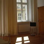 Rent 1 bedroom apartment of 452 m² in Berlin