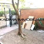 Rent 1 bedroom apartment of 80 m² in Rome