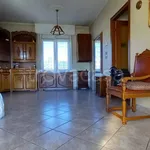 Rent 2 bedroom apartment of 58 m² in Cigliano